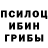 Галлюциногенные грибы Psilocybe IEatCurry
