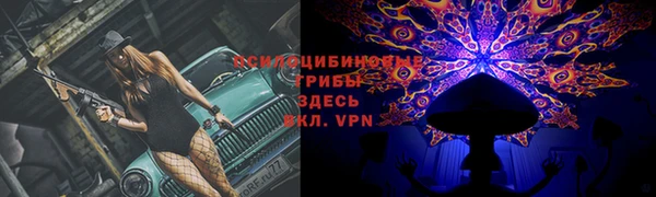 ГАЛЛЮЦИНОГЕННЫЕ ГРИБЫ Белокуриха