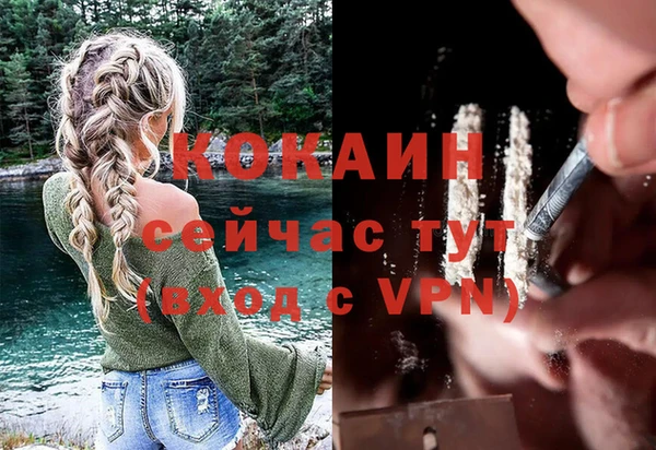 ГАЛЛЮЦИНОГЕННЫЕ ГРИБЫ Белоозёрский