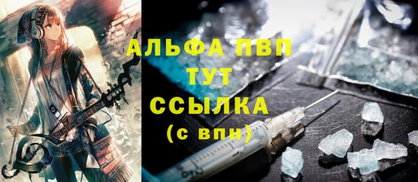 ГАЛЛЮЦИНОГЕННЫЕ ГРИБЫ Белокуриха