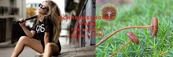 ПСИЛОЦИБИНОВЫЕ ГРИБЫ Беломорск