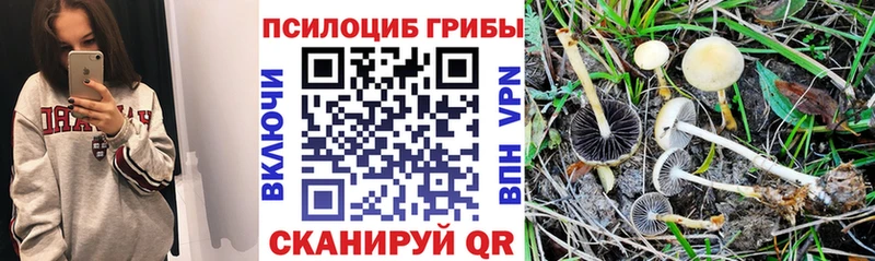 Псилоцибиновые грибы мицелий  Наро-Фоминск 