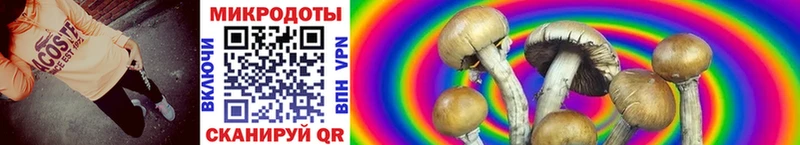 Галлюциногенные грибы мицелий Наро-Фоминск
