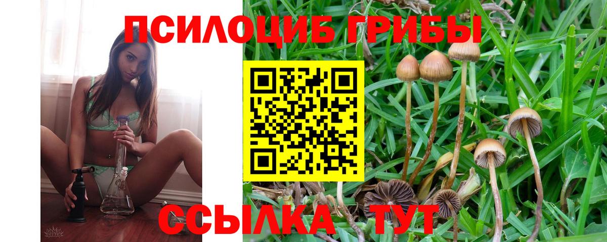 Наро-Фоминск  Галлюциногенные грибы Psilocybe  наркота  Вход с VPN  Псилоцибиновые грибы Magic Shrooms 
